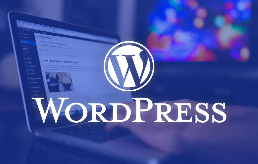 WordPress Developer at Havana Group