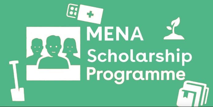 Netherlands Fully Funded MENA Scholarship Program 2025