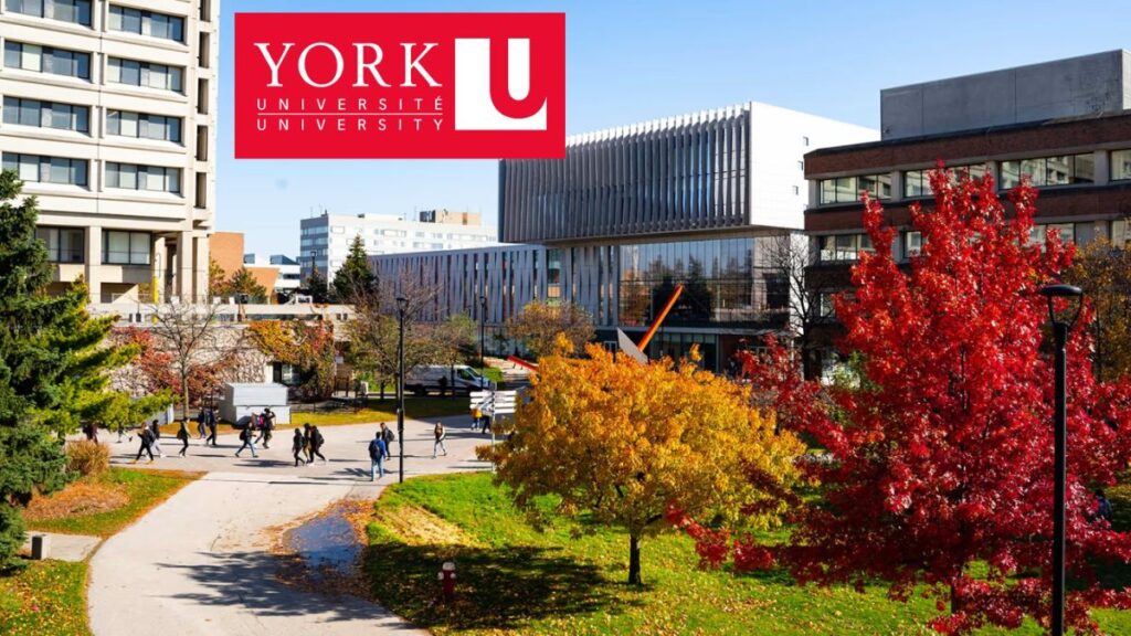 UK Funded | University of York Masters Scholarship 2025